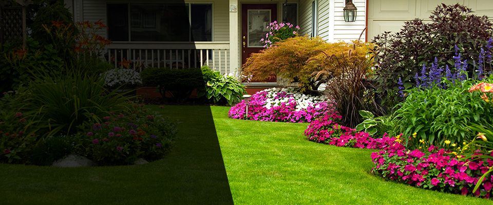 Elizabeth Landscapers